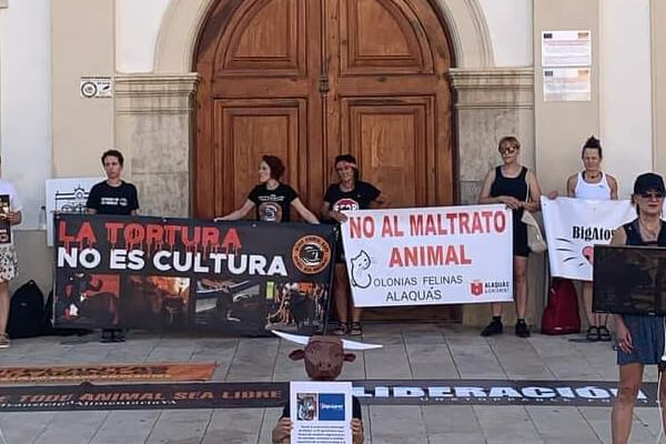 Activismo Bigatos