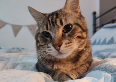 Miki